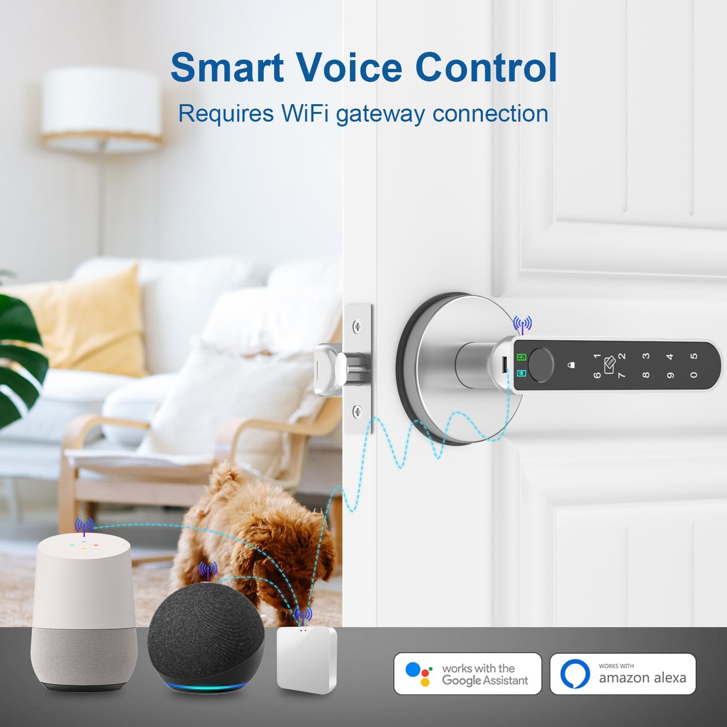 Fingerprint Door Lock